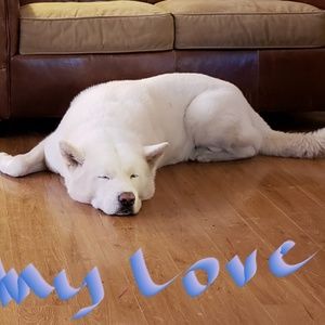 Meet your Posher, Judy